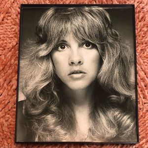 STEVIE NICKS 8X10 Framed Photo Beautiful Headshot